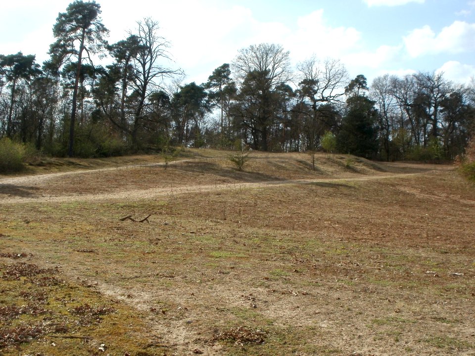 20120403Naturschutzgebiet_Hirschacker08