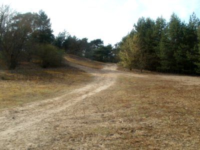 20120403Naturschutzgebiet_Hirschacker15