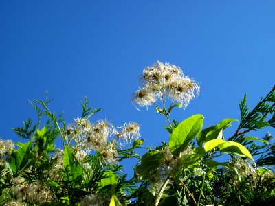 20120827Hohenzollernstr_Saarbruecken22