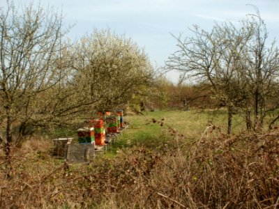 20120402Rhein_Hockenheim5