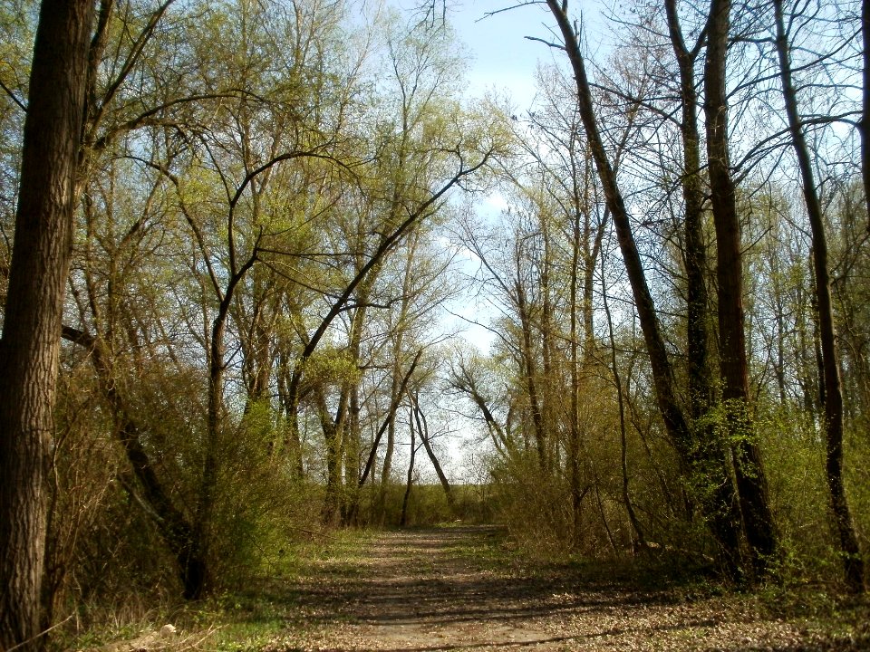 20120402Tongrube_Neuwiesen5