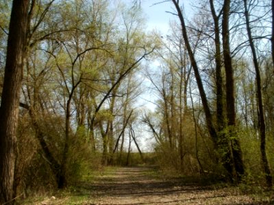 20120402Tongrube_Neuwiesen5