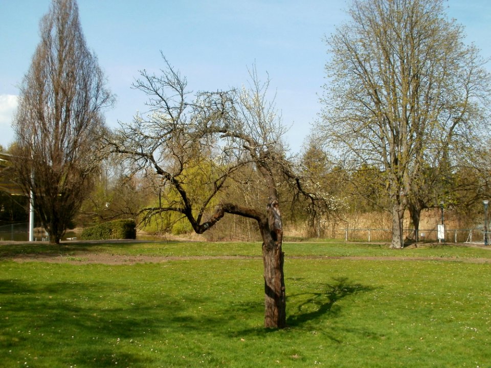 20120403Ebertpark_Hockenheim1