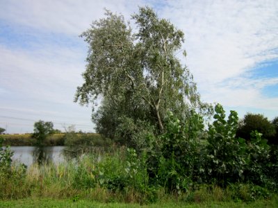 20120920Baggersee_Hockenheim2