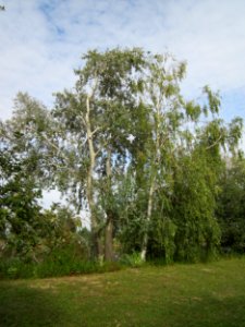 20120920Baggersee_Hockenheim3