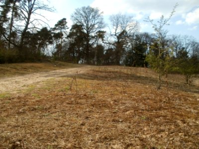 20120403Naturschutzgebiet_Hirschacker09