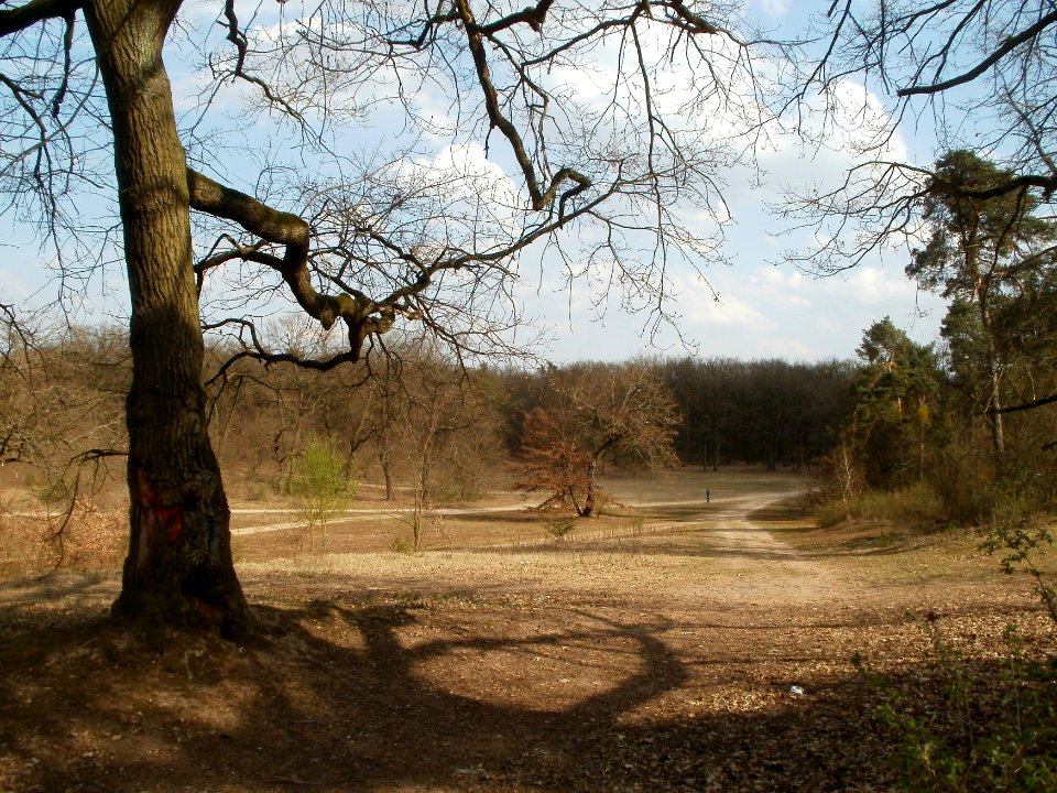 20120403Naturschutzgebiet_Hirschacker10