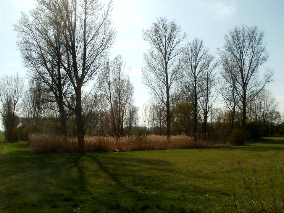 20120402Beim_Herrenteich2