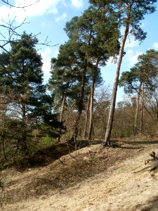 20120403Naturschutzgebiet_Hirschacker03