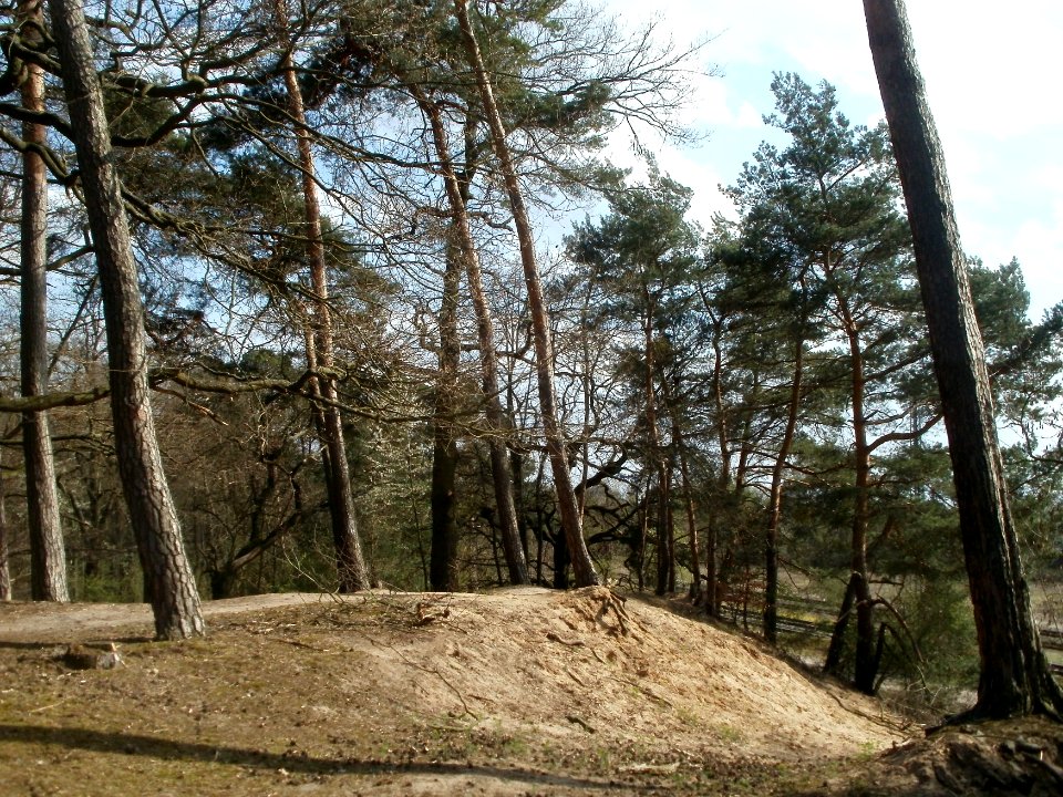 20120403Naturschutzgebiet_Hirschacker04