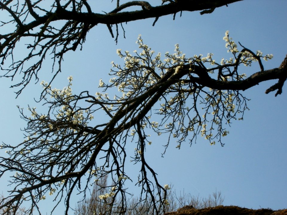 20120403Ebertpark_Hockenheim7