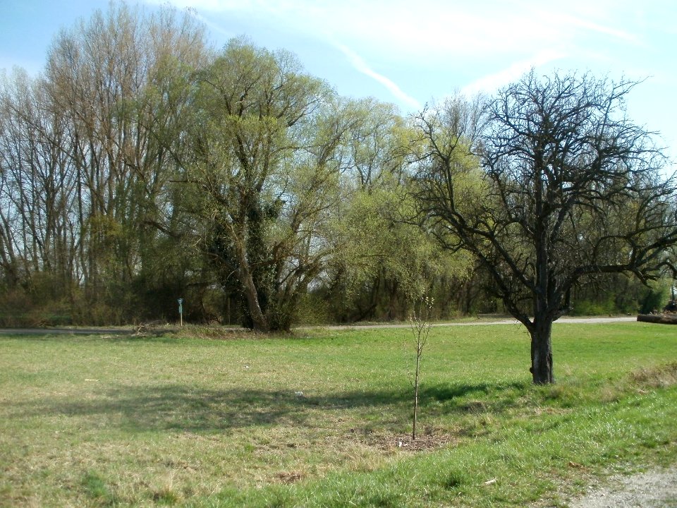 20120402Tongrube_Neuwiesen1