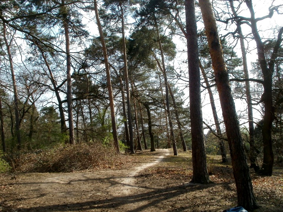 20120403Naturschutzgebiet_Hirschacker05