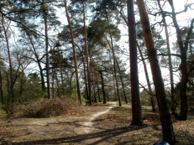 20120403Naturschutzgebiet_Hirschacker05
