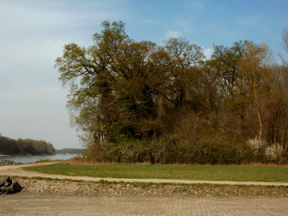 20120402Tongrube_Pfalzwoert3