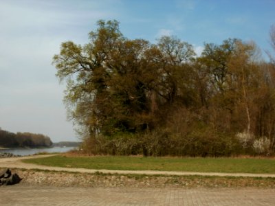 20120402Tongrube_Pfalzwoert3