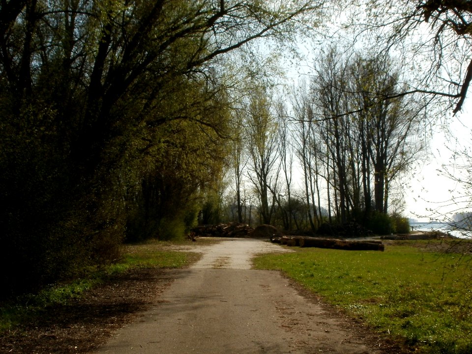 20120402Tongrube_Neuwiesen3