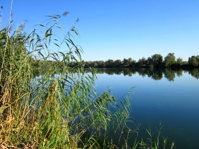 20120907Baggersee_Silz09