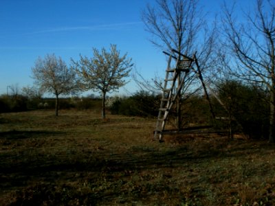 20120401Streuobstwiese_Reilingen3