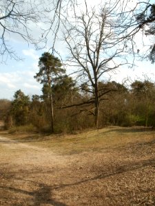 20120403Naturschutzgebiet_Hirschacker12