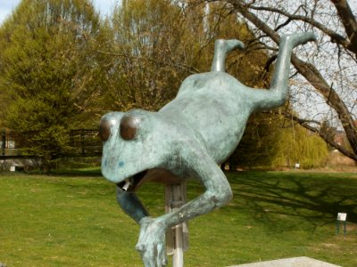 20120402Froschbrunnen_Hockenheim1