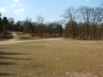 20120403Naturschutzgebiet_Hirschacker06