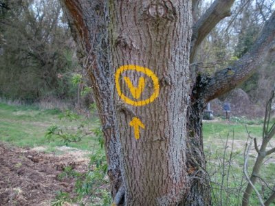 20120403Wegmarkierung_Ketsch2