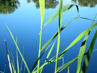 20120907Baggersee_Silz07