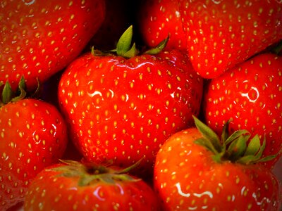 Sweet delicious berry
