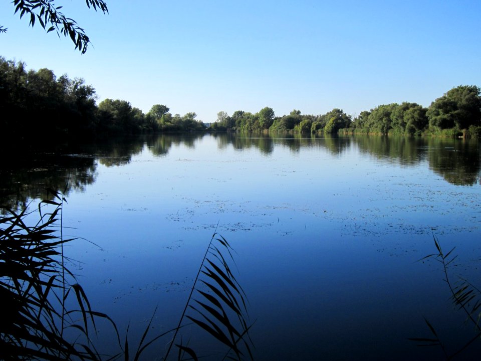 20120907Baggersee_Silz11