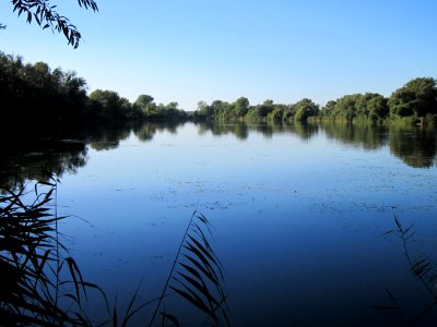 20120907Baggersee_Silz11