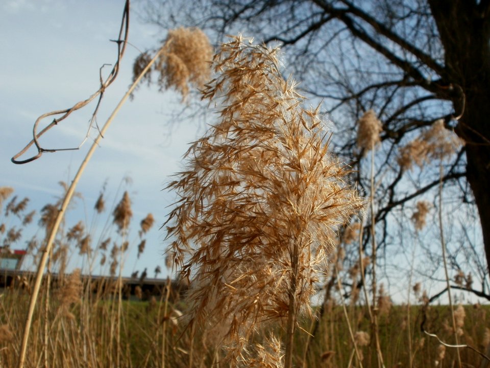 20120402Beim_Herrenteich5