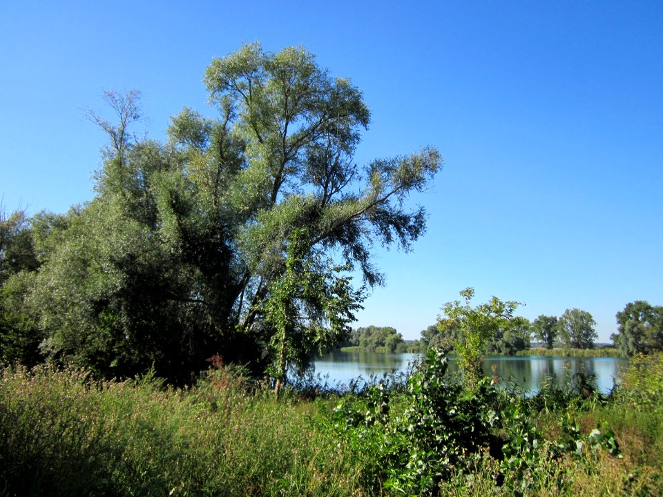 20120907Baggersee_Silz02