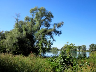 20120907Baggersee_Silz02