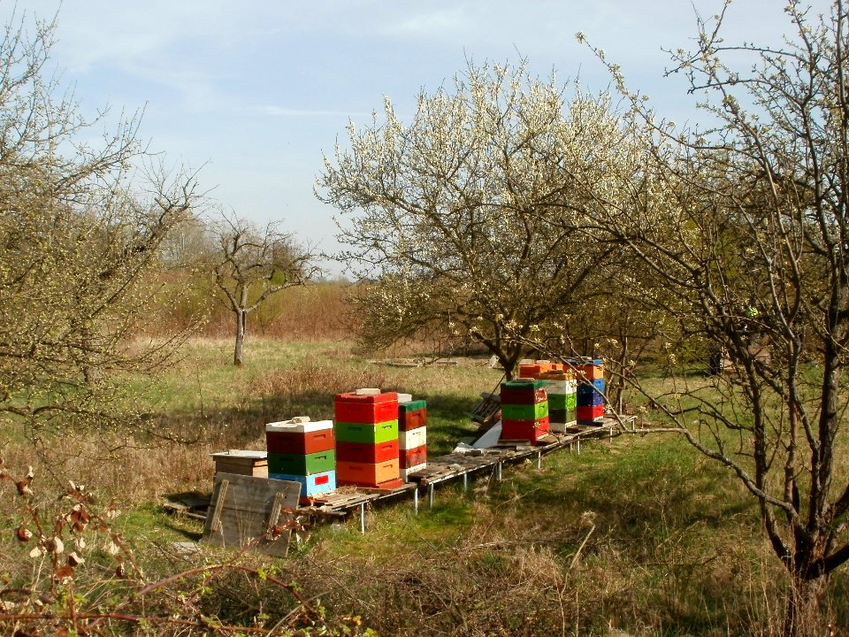 20120402Rhein_Hockenheim4