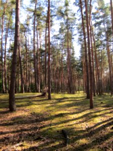 20120902Waldweide_Reilinger_Eck1