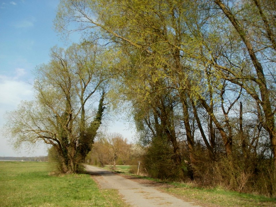 20120402Tongrube_Neuwiesen4