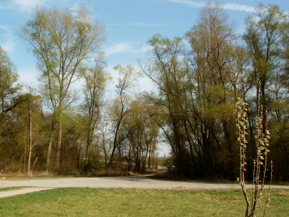 20120402Tongrube_Pfalzwoert1