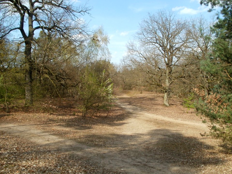 20120403Naturschutzgebiet_Hirschacker11