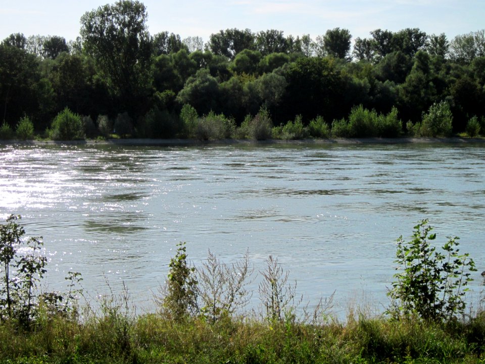 20120906Rhein_Altlussheim