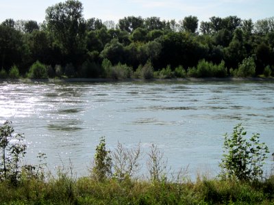 20120906Rhein_Altlussheim