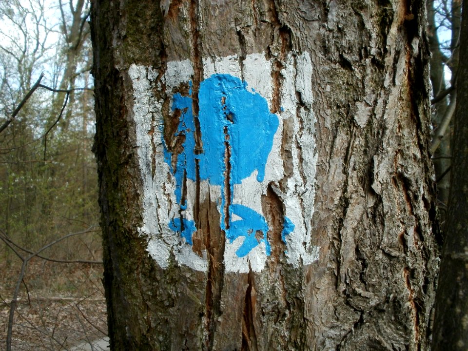 20120403Unterer_Dossenwald2