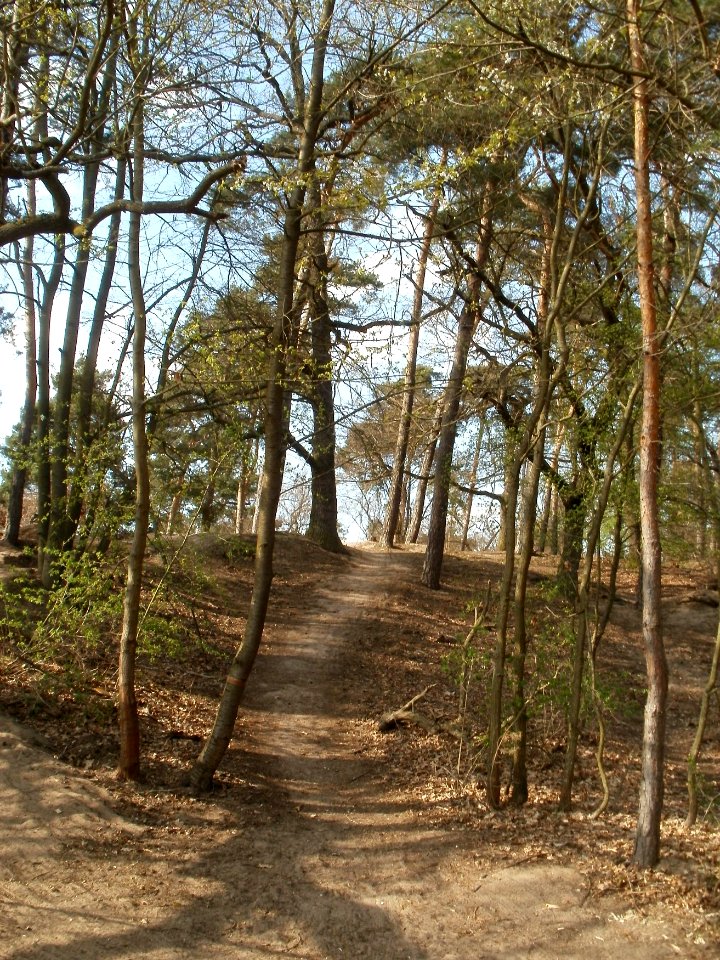 20120403Naturschutzgebiet_Hirschacker02