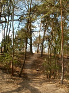 20120403Naturschutzgebiet_Hirschacker02