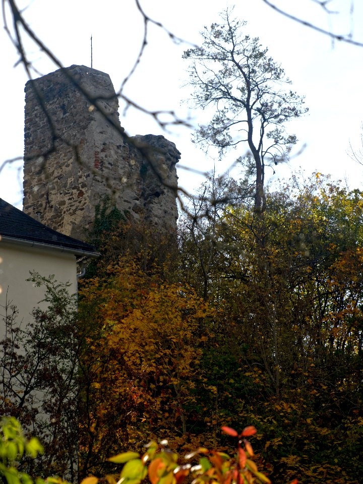 2013.10.21_-_Hürm_-_Burgruine_und_Stöckl_-_05