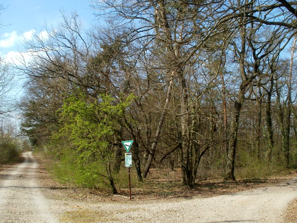 20120403Naturschutzgebiet_Hirschacker01