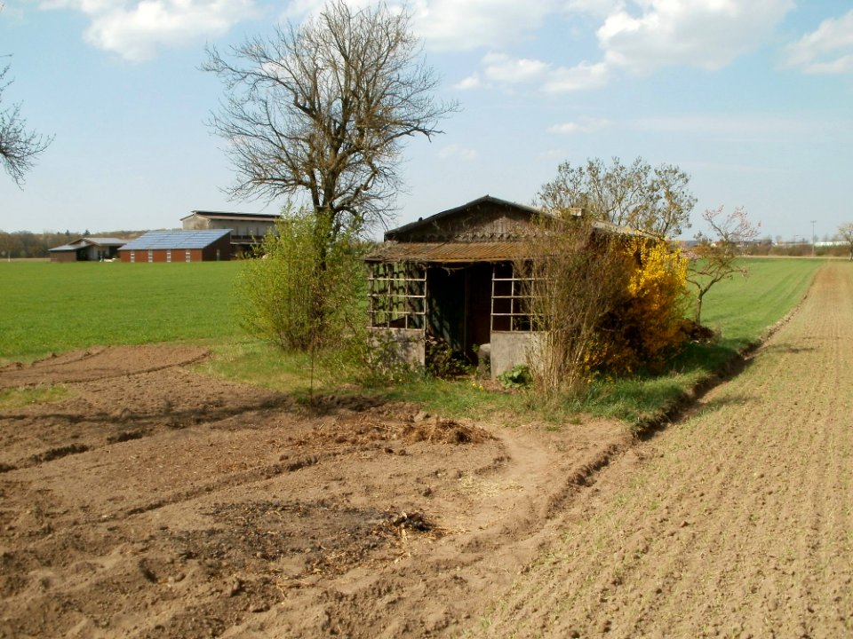 20120403Streuobstwiese_Oftersheim17