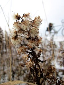 20130118Feinstrahl_Hockenheim4