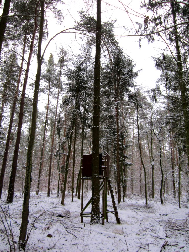 20130117Untere_Lusshart09