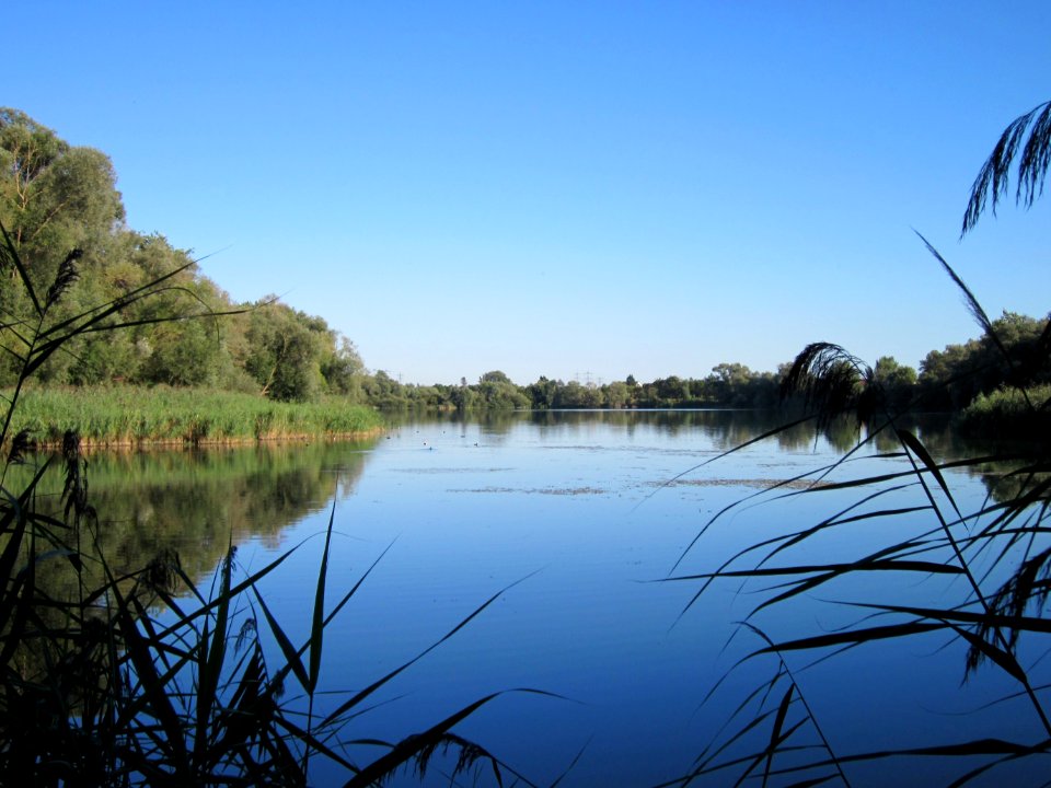 20120907Baggersee_Silz10